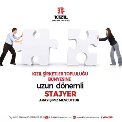 Stajyer Seçme Etkinliği: Şaşırtıcı Çıktı mı?